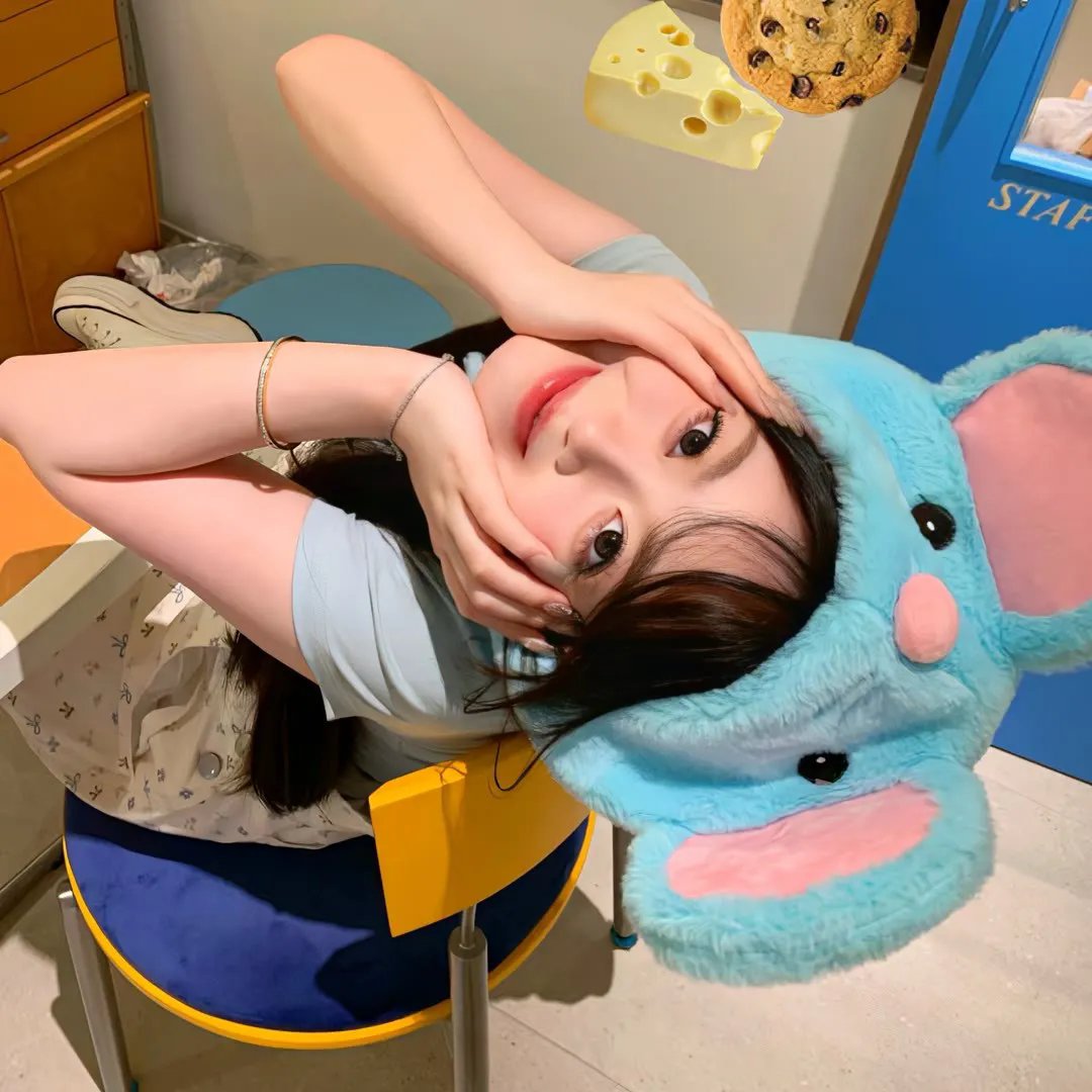 母猫